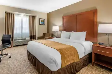 Comfort Inn Portland - 28