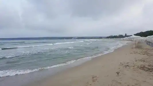 Surf - 8