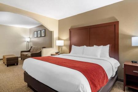 Comfort Inn & Suites North I-75 - 34