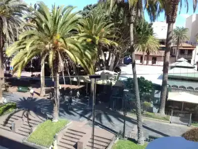 Tropical - 45