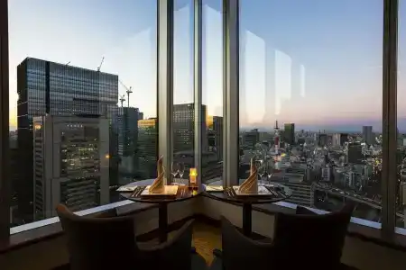 Metropolitan Tokyo Marunouchi - 7