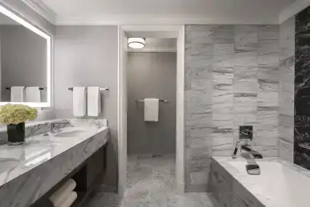 The Ritz-Carlton, - 46