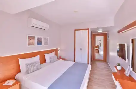 Olea Nova - 37