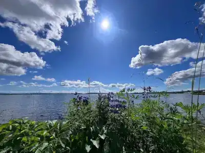 Bjork - 14