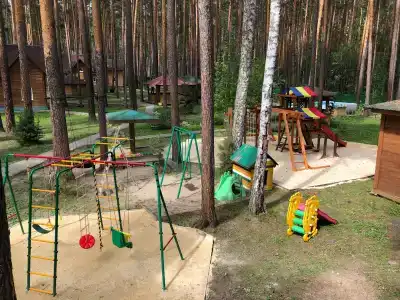 Зеленый Бор - 3