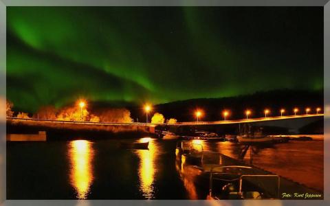 Saltstraumen Brygge - 23