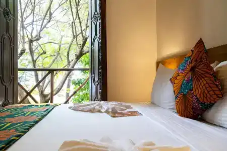 Pili Pili Sunrise - 4