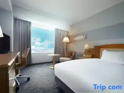 Ana Crowne Plaza Chitose, An Ihg - 30