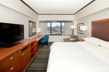 Sheraton Anchorage & Spa - 18