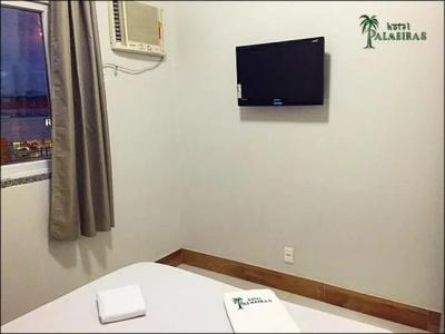 Palmeiras Ltda - 27
