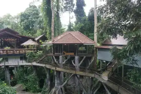 Rock and Tree House Resort - 30