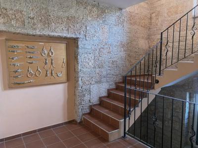 Lotos - 12
