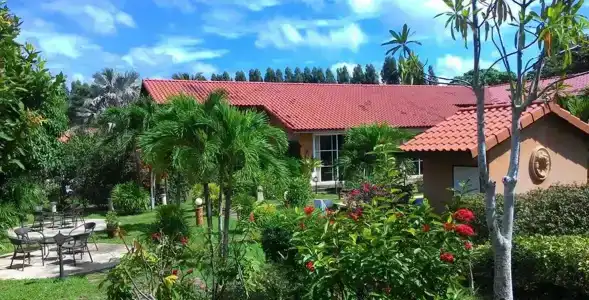 Pictory Garden - 17