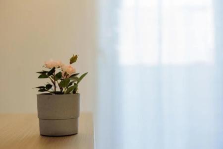 b&b Fuori Rotta - 66