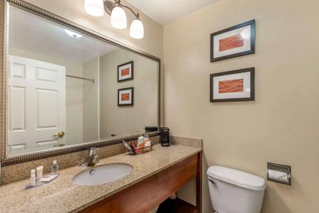 Comfort Inn Saint George North - 7