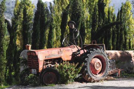 Finca Ca N'ai - Adults Only - 21