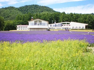 Highland Furano - 37