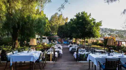 Divan Bodrum Palmira - 32