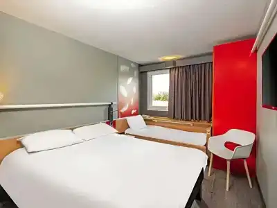 ibis - 28