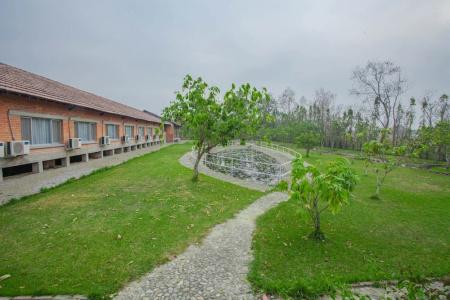Lumbini Hokke - 12