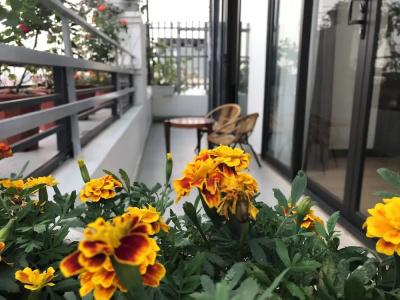 Elysinam Boutique Ha Long - 98
