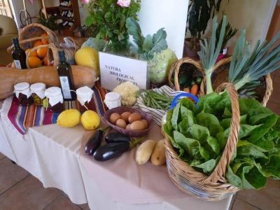 Natura Beach And Villas - 11