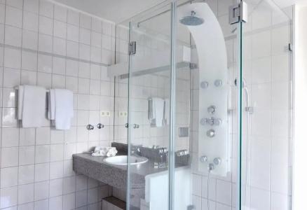 Schweizer Hof - 21