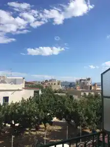 Aegina - 41