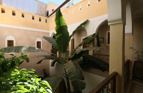 Riad Sidi Mimoune - 0