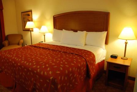Best Western Plus San Antonio East Inn & Suites - 62
