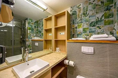 Best Western Plus Hôtel Vannes Centre Ville - 77