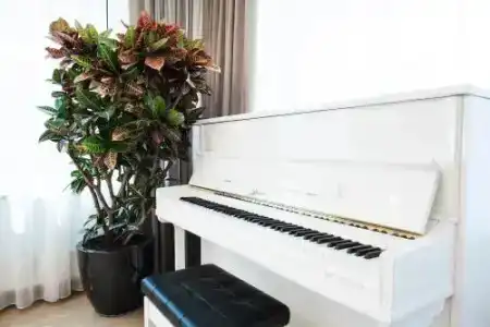 Villa Alvīne Family Apart-Hotel - 19