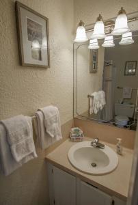 Multi Resorts at Puente Vista - 66