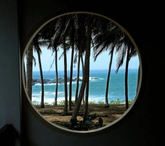 Turtle Bay - 22