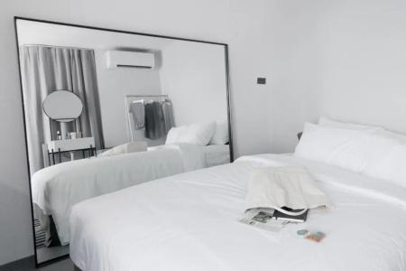 Chocolate box mint - 19