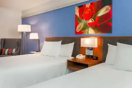 Hilton Garden Inn Dallas/Market Center - 83
