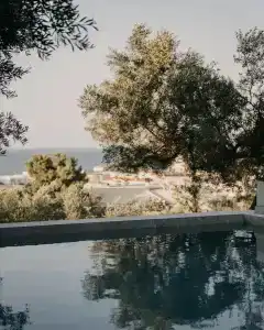 Zante Calinica - 122