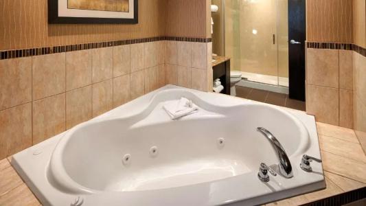 Best Western Premier Freeport Inn Airport - 145