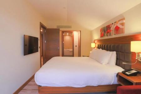 Hilton Garden Inn Eskisehir - 61