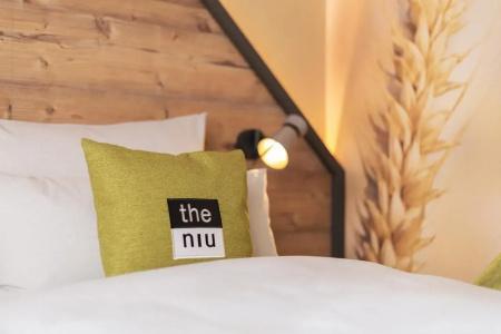 the niu Mill - 1