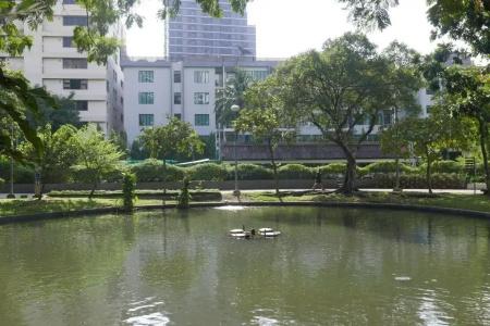 Le Tada Parkview - Sha Plus - 14