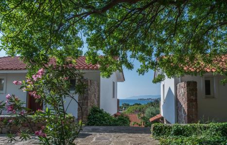 Delfinia & Bungalows - 111