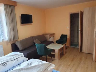 Pension Zelený strom - 7