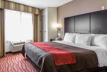 Comfort Inn Los Angeles near Hollywood - 22