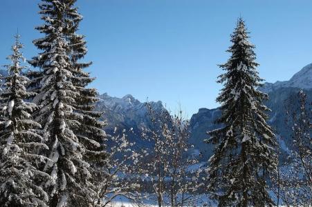 Stauder - 8