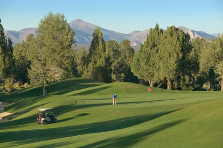WorldMark Eagle Crest - 21