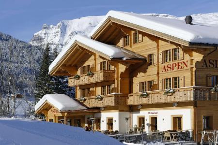 Aspen Alpine Lifestyle - 56