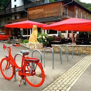 Roter Kater - 13