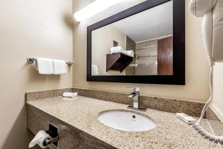 Red Roof Inn Plus+ & Suites Houston – Iah Airport Sw - 40