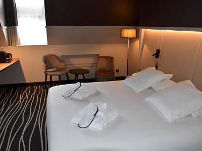 Mercure Colmar Centre Unterlinden - 113